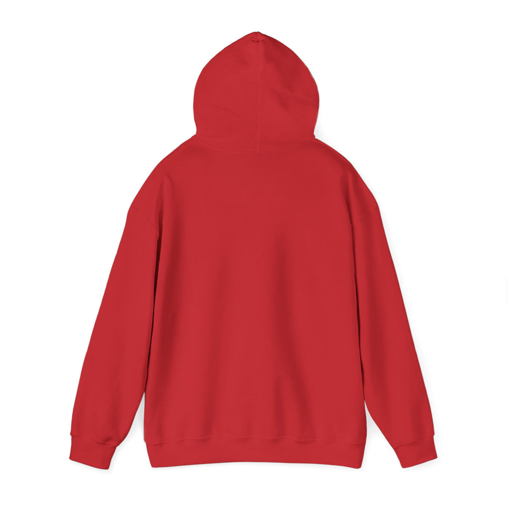 Not My President Still My Fucking Problem Hoodie
