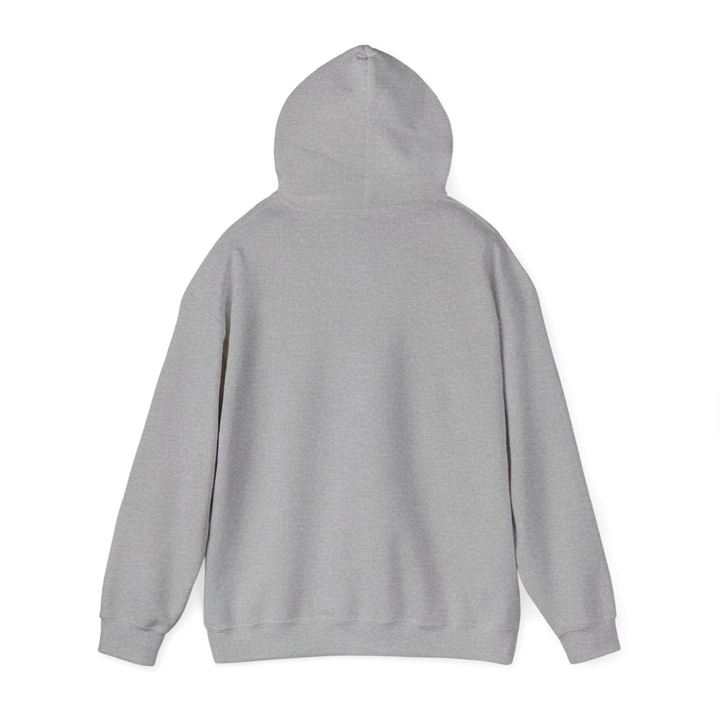 Not My President Still My Fucking Problem Hoodie