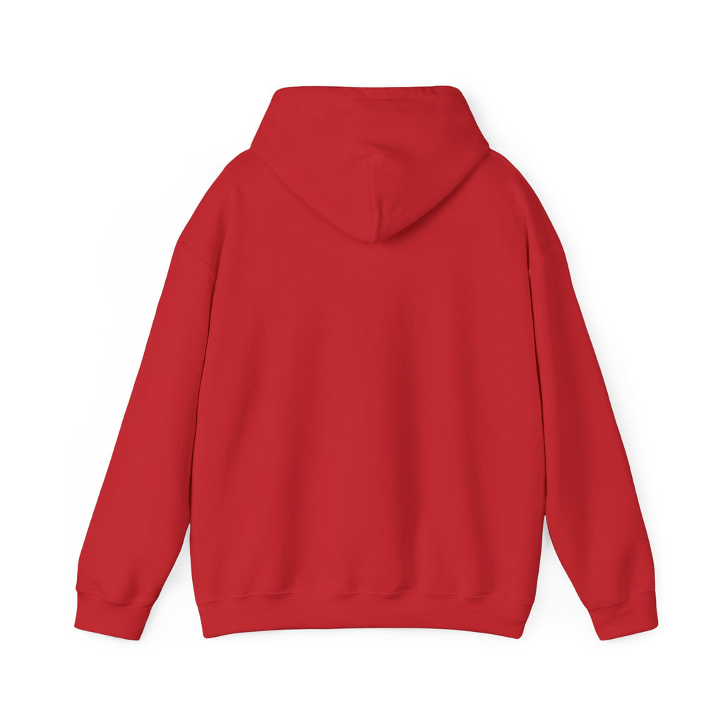 Not My President Still My Fucking Problem Hoodie